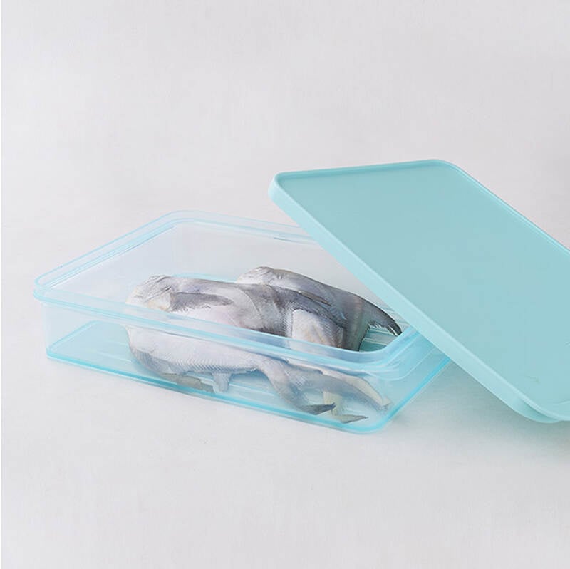 Hộp Trữ Đông Thực Phẩm Freezer Fit Locknlock Màu Tự Nhiên nhiều dung tích- HFL10 image number null